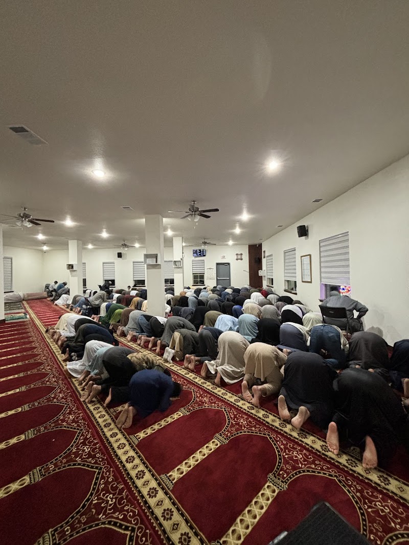 Salaam