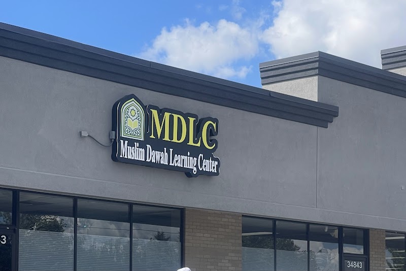 MDLC