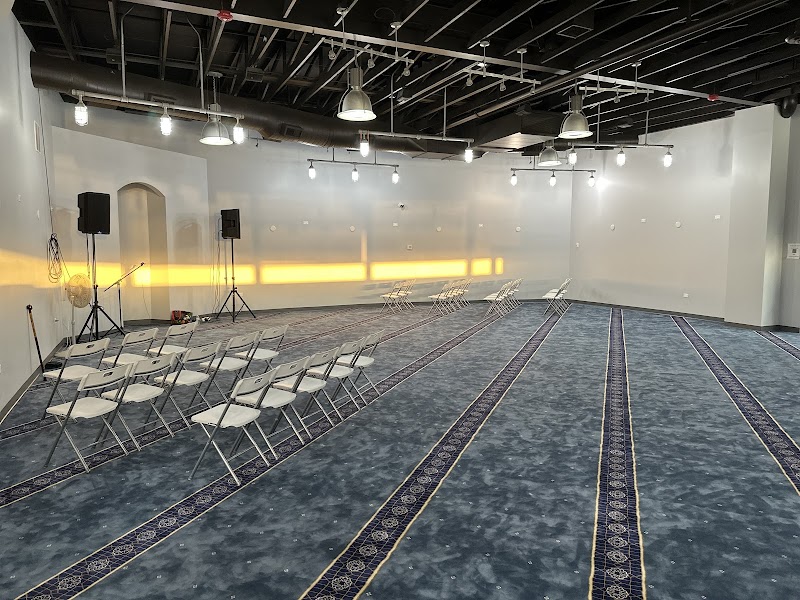 Dar-ul-Ilm Foundation