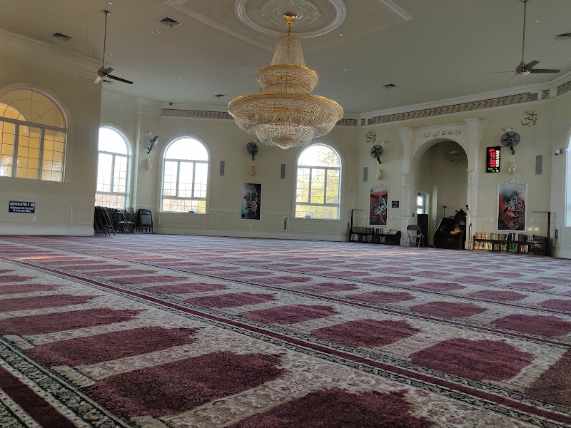 Selden Mosque - IALI