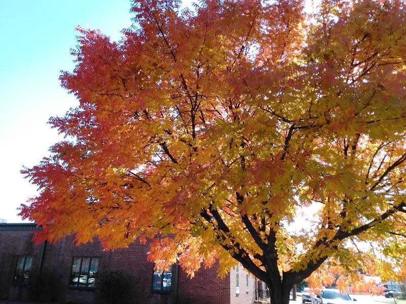 First United Methodist Church