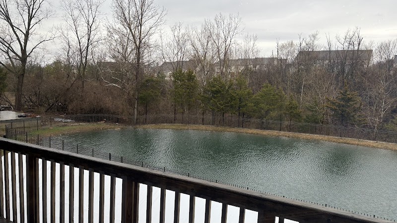 Dayton Mercy Society