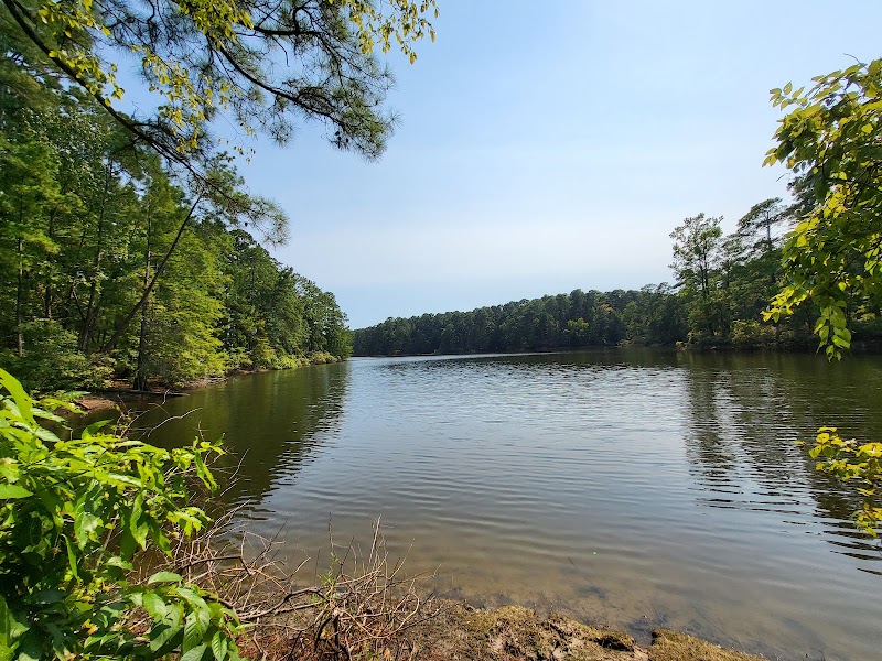 Sabine National Forest