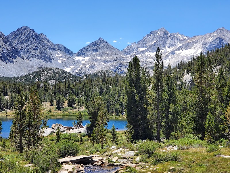 Inyo National Forest