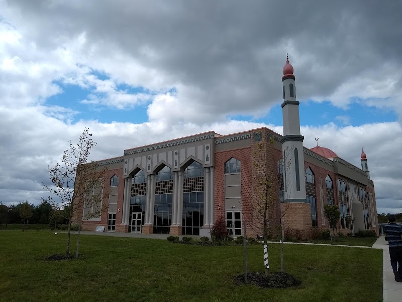 Institute of Islamic Studies