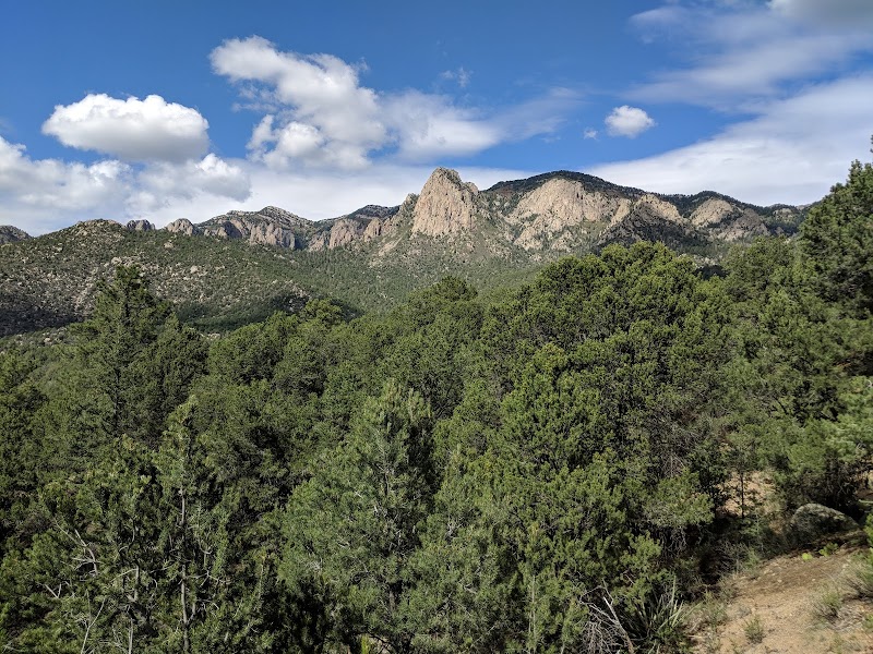 Cibola National Forest